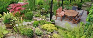 tuin met planten
